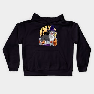 Border Collie Scary Halloween Witch Pumpkin Kids Hoodie